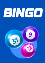 Bingo Game 888p
